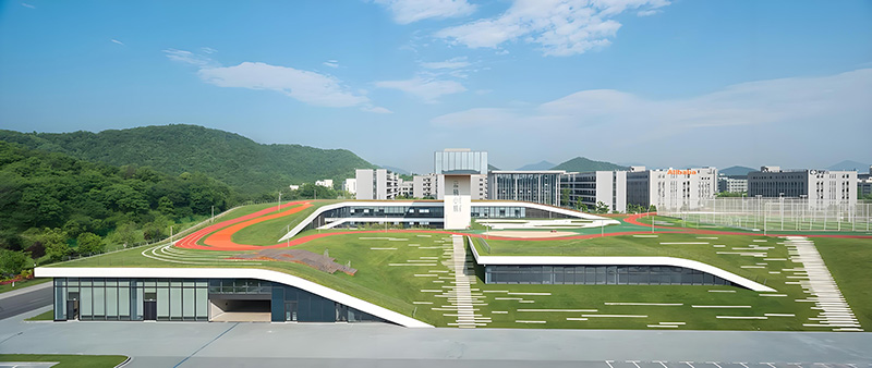 云棲小鎮(zhèn)國(guó)際會(huì)展中西二期鋼結(jié)構(gòu)工程